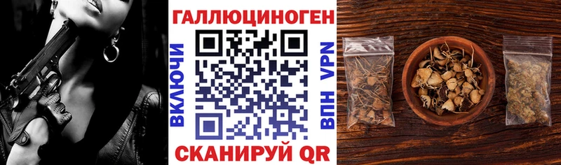 купить наркотик  Оханск  Галлюциногенные грибы Psilocybe 